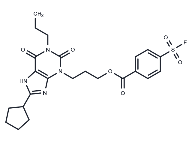 TargetMol Chemical Structure FSCPX