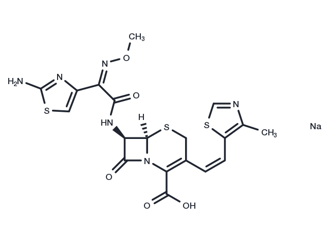 Cefditoren sodium Chemical Structure