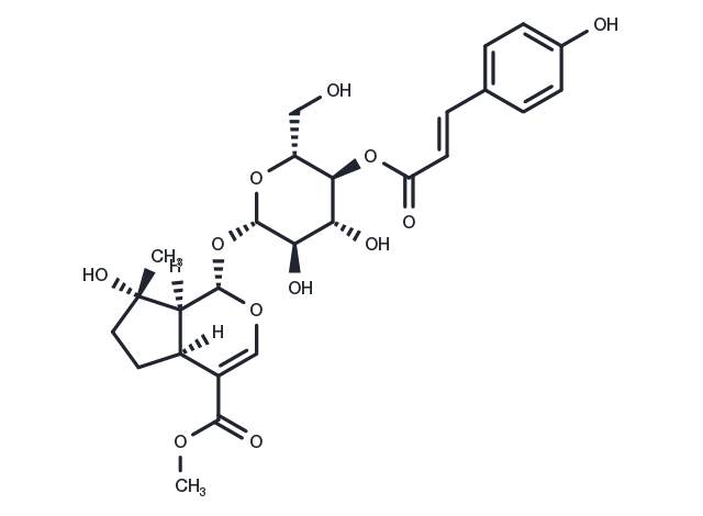 TargetMol Chemical Structure 4'-O-trans-p-Coumaroylmussaenoside