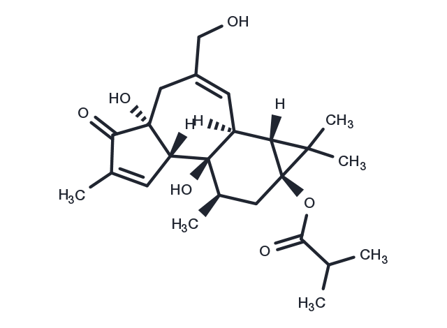 ER272 Chemical Structure