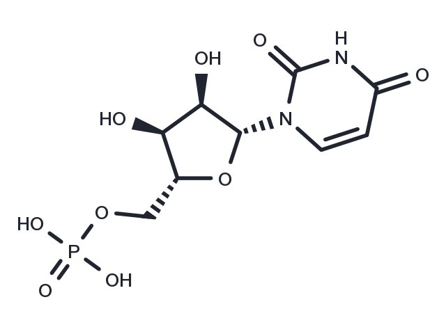 TargetMol Chemical Structure Uridine 5'-monophosphate