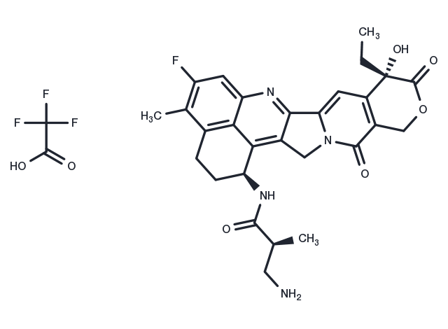 TargetMol Chemical Structure NH2-methylpropanamide-Exatecan TFA