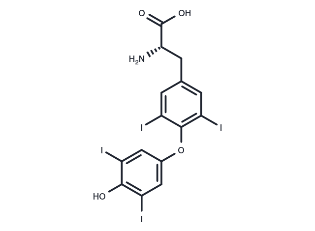 L-Thyroxine Chemical Structure