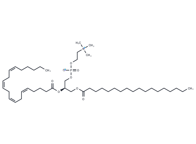 TargetMol Chemical Structure 1-Stearoyl-2-arachidonoyl-sn-glycero-3-phosphocholine