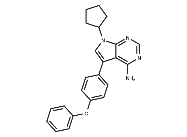 TargetMol Chemical Structure RK-24466