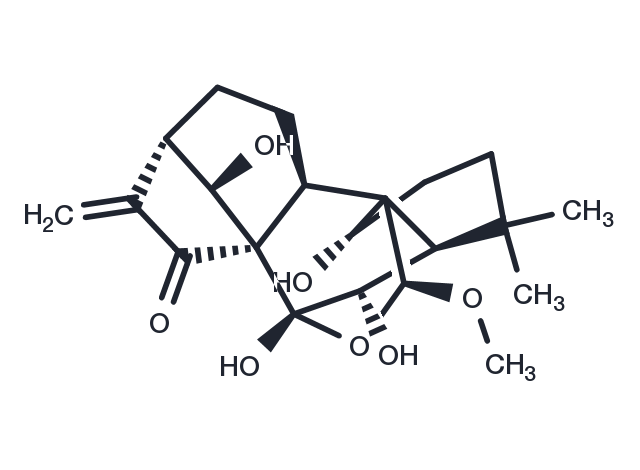 TargetMol Chemical Structure Rabdoternin F