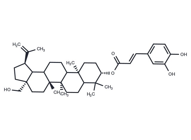TargetMol Chemical Structure Betulin caffeate