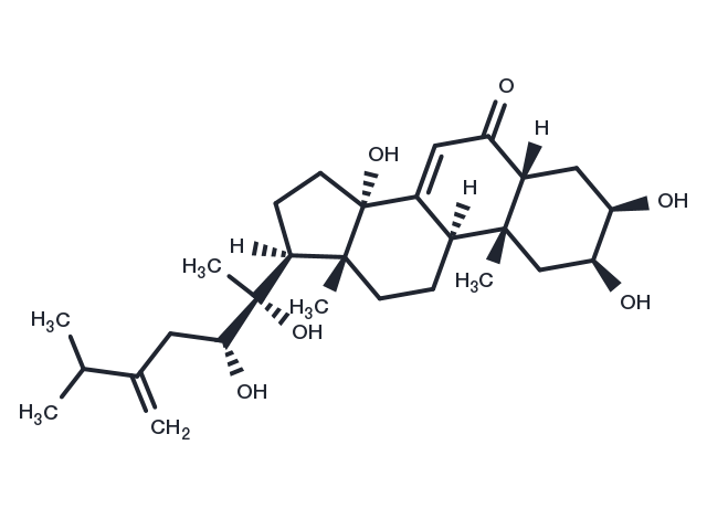 TargetMol Chemical Structure Polyporusterone B