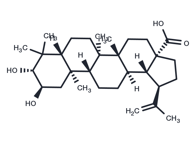 TargetMol Chemical Structure Alphitolic acid