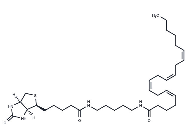 Arachidonic Acid-biotin Chemical Structure