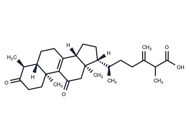 antcin A Chemical Structure
