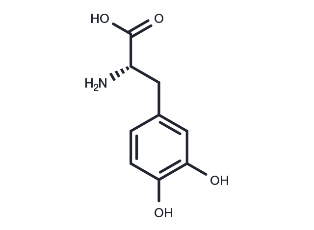 TargetMol Chemical Structure L-DOPA