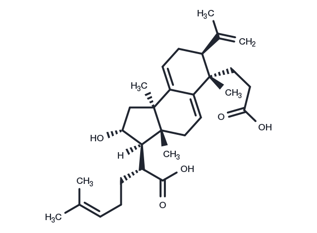 TargetMol Chemical Structure Poricoic acid B