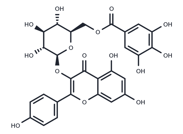 TargetMol Chemical Structure Kaempferol 3-O-(6''-galloyl)-beta-D-glucopyranoside