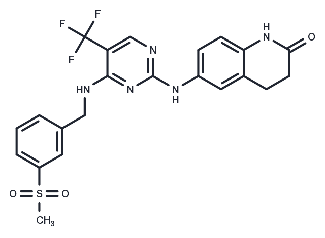 TargetMol Chemical Structure PF-573228