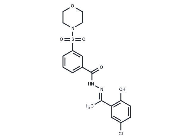 SP2509 Chemical Structure