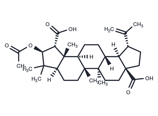 TargetMol Chemical Structure Ceanothic acid acetate