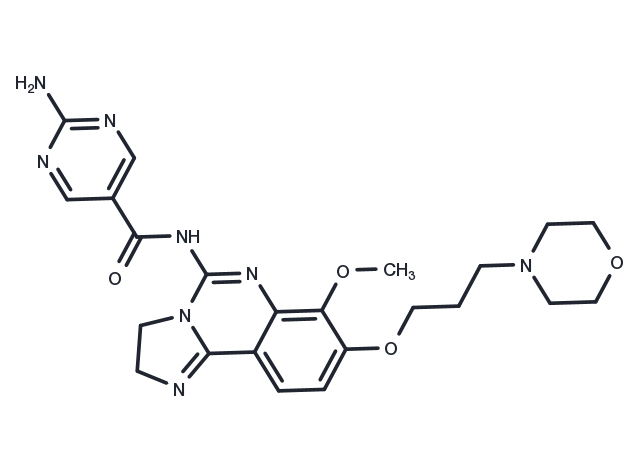 TargetMol Chemical Structure Copanlisib