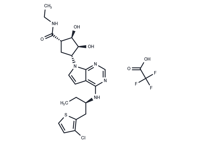Amp579 TFA Chemical Structure