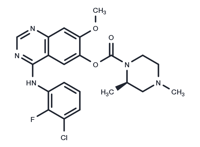 TargetMol Chemical Structure Zorifertinib