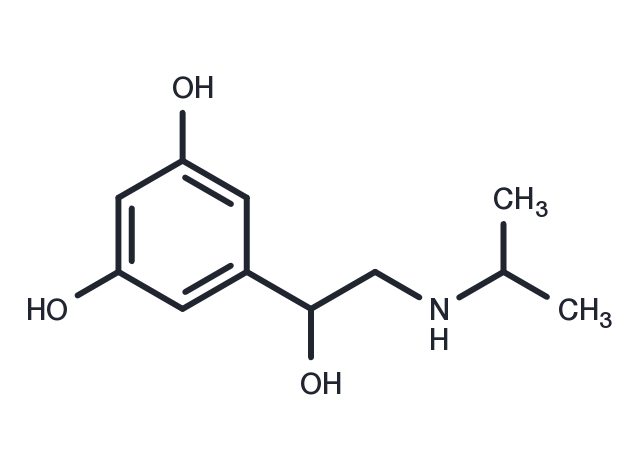 TargetMol Chemical Structure Metaproterenol