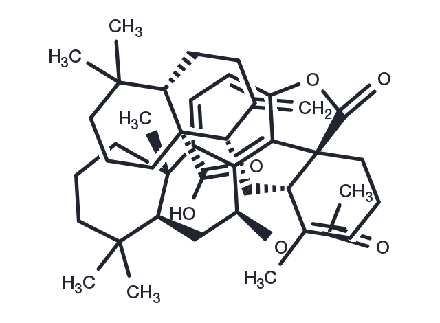 TargetMol Chemical Structure Hispidanin B