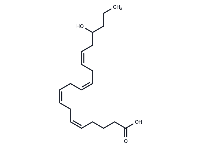(±)17-HETE Chemical Structure