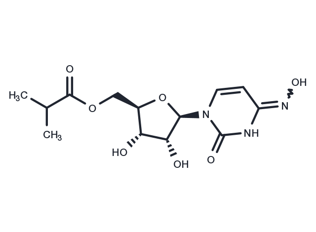TargetMol Chemical Structure EIDD-2801
