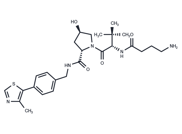 TargetMol Chemical Structure (S,R,S)-AHPC-C3-NH2
