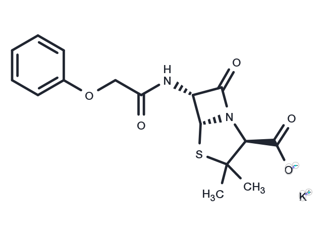 TargetMol Chemical Structure Penicillin V Potassium