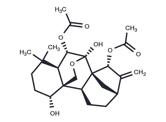 Trichokaurin Chemical Structure