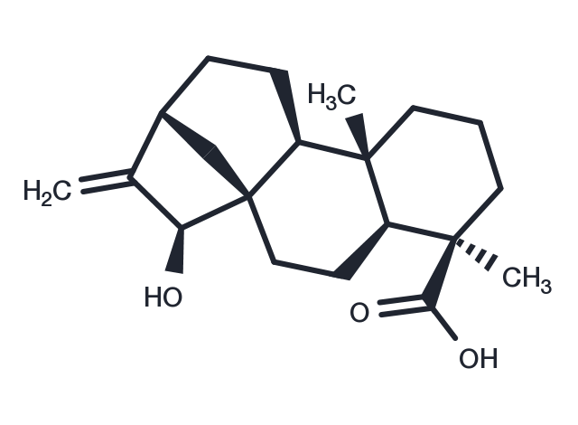 Grandifloric acid Chemical Structure
