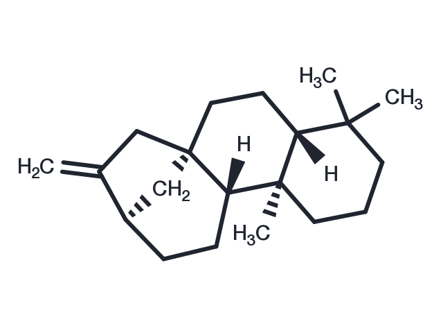 Kaurene Chemical Structure