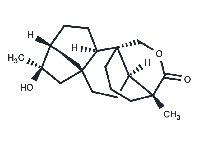 TargetMol Chemical Structure Tripterifordin