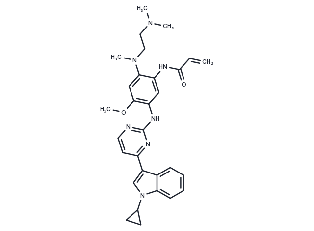TargetMol Chemical Structure Almonertinib