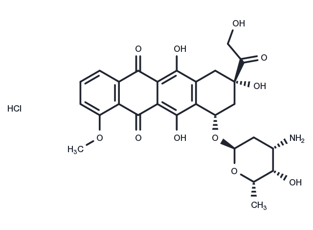 TargetMol Chemical Structure Doxorubicin hydrochloride