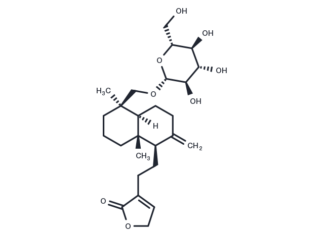 TargetMol Chemical Structure Neoandrographolide