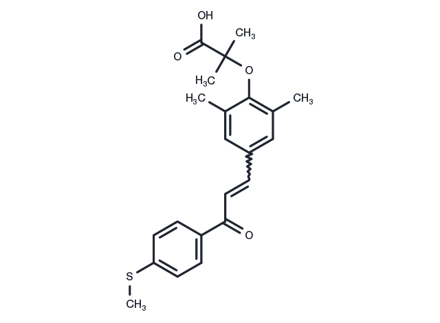 TargetMol Chemical Structure GFT505