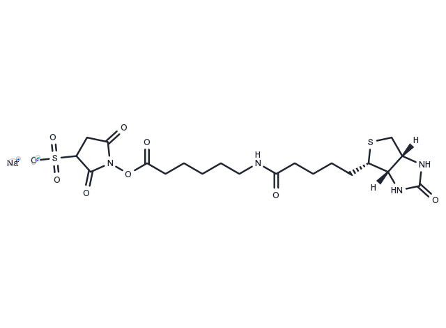 Sulfo-NHS-LC-Biotin sodium Chemical Structure