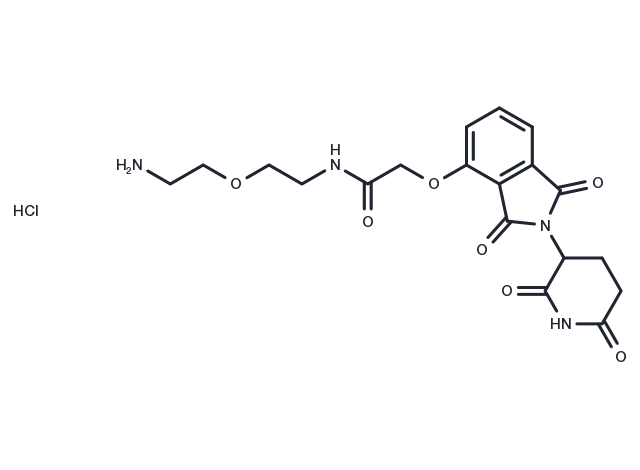 TargetMol Chemical Structure Thalidomide-O-amido-PEG-C2-NH2 hydrochloride