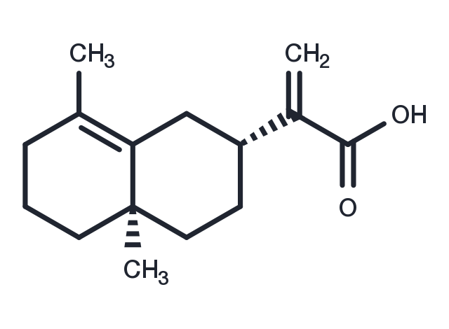 TargetMol Chemical Structure Isocostic acid