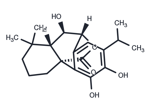 TargetMol Chemical Structure Isorosmanol