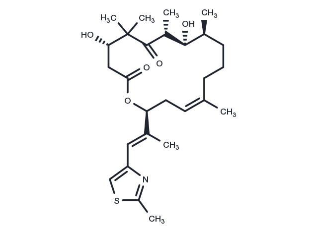 TargetMol Chemical Structure Epothilone D