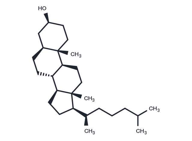 TargetMol Chemical Structure 5α-Cholestan-3β-ol