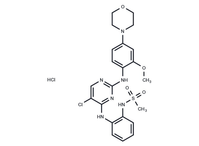 TargetMol Chemical Structure CZC-54252 hydrochloride