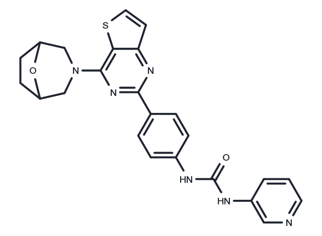 TargetMol Chemical Structure mTOR inhibitor 13