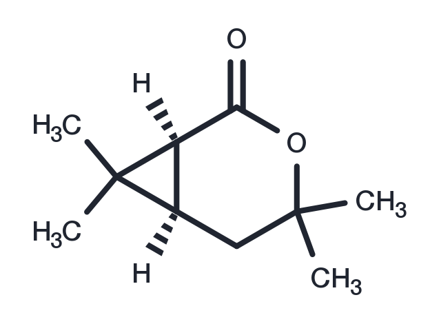 TargetMol Chemical Structure (1S)-Chrysanthemolactone