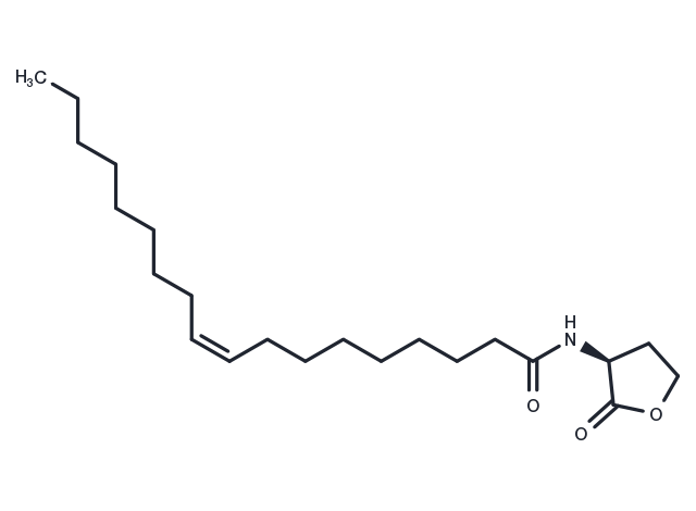 N-cis-octadec-9Z-enoyl-L-Homoserine lactone Chemical Structure