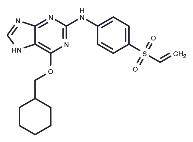 TargetMol Chemical Structure NU6300