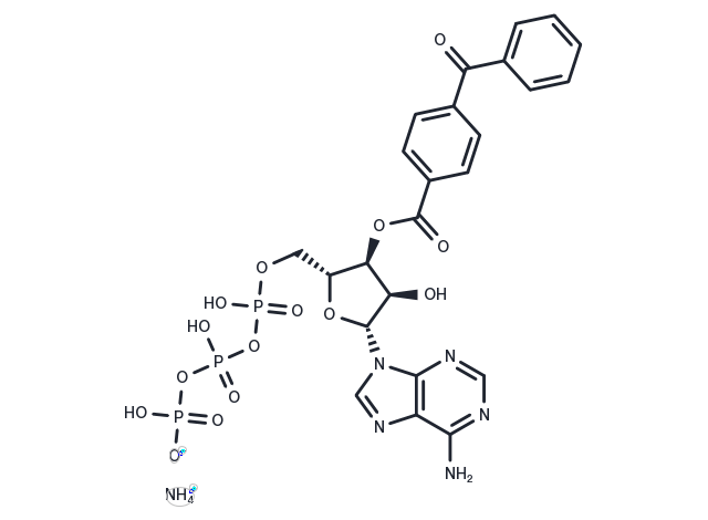 TargetMol Chemical Structure BzATP triethylammonium salt